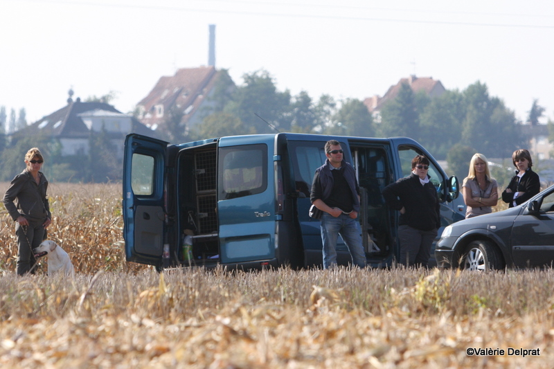 Field Erstein 09 (152).JPG